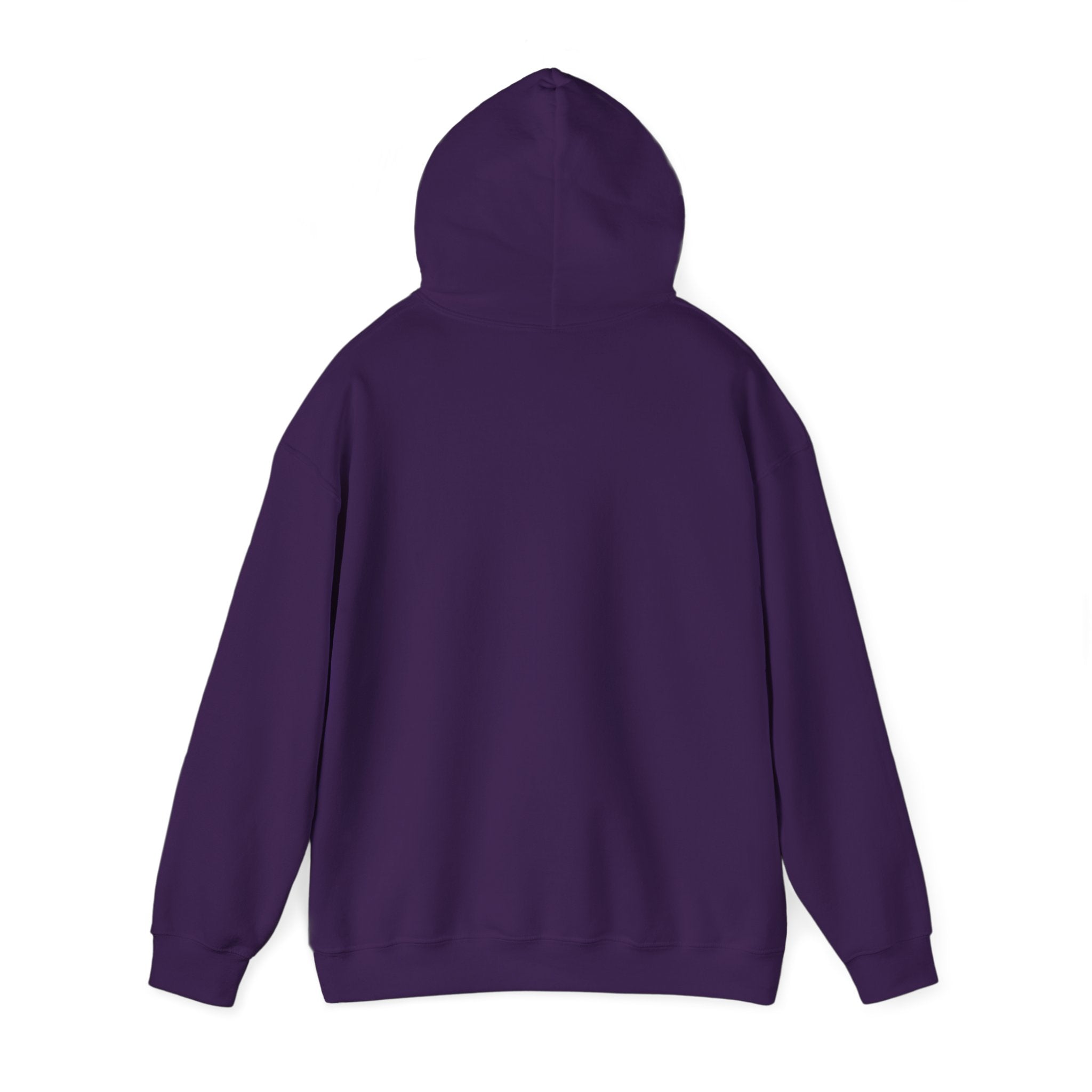 Applied Knowledge Is Power, dark colored hoodie, Unisex Heavy Blend™ Hooded Sweatshirt