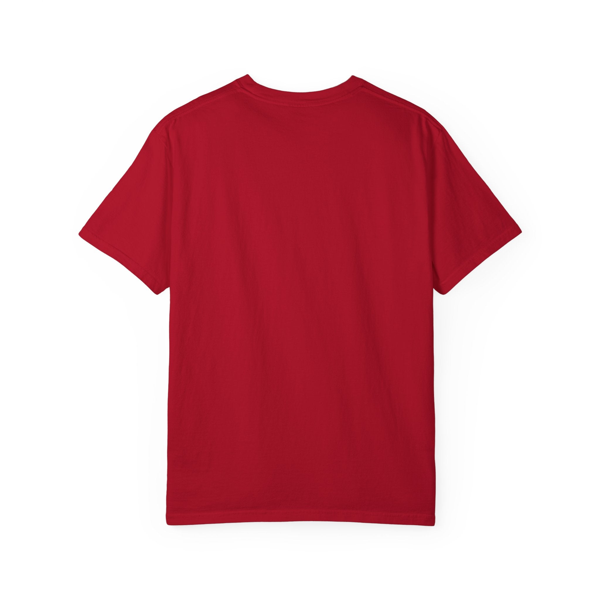 Identity Over Ideology, Light Shirts, Unisex Garment-Dyed T-shirt