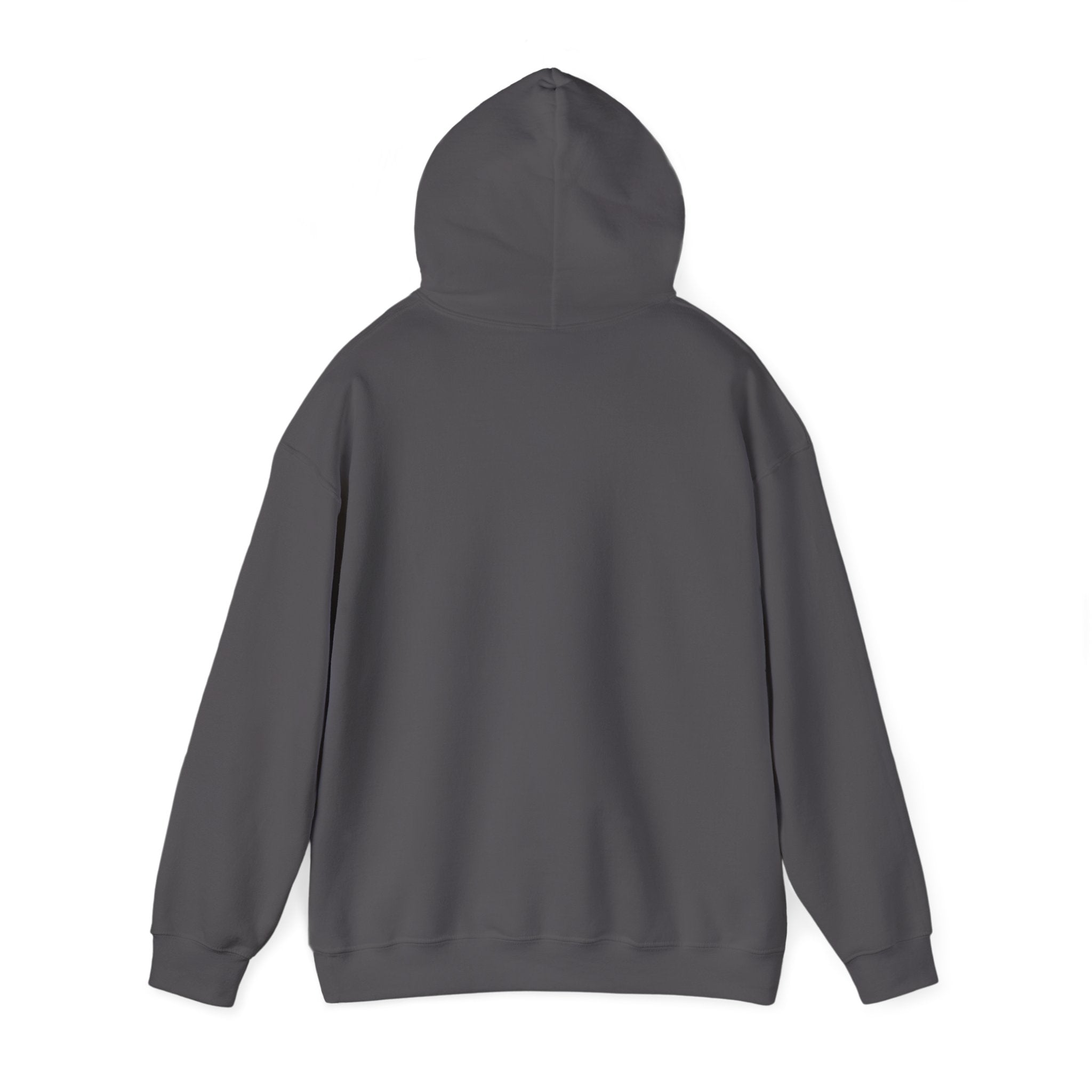 Applied Knowledge Is Power, dark colored hoodie, Unisex Heavy Blend™ Hooded Sweatshirt