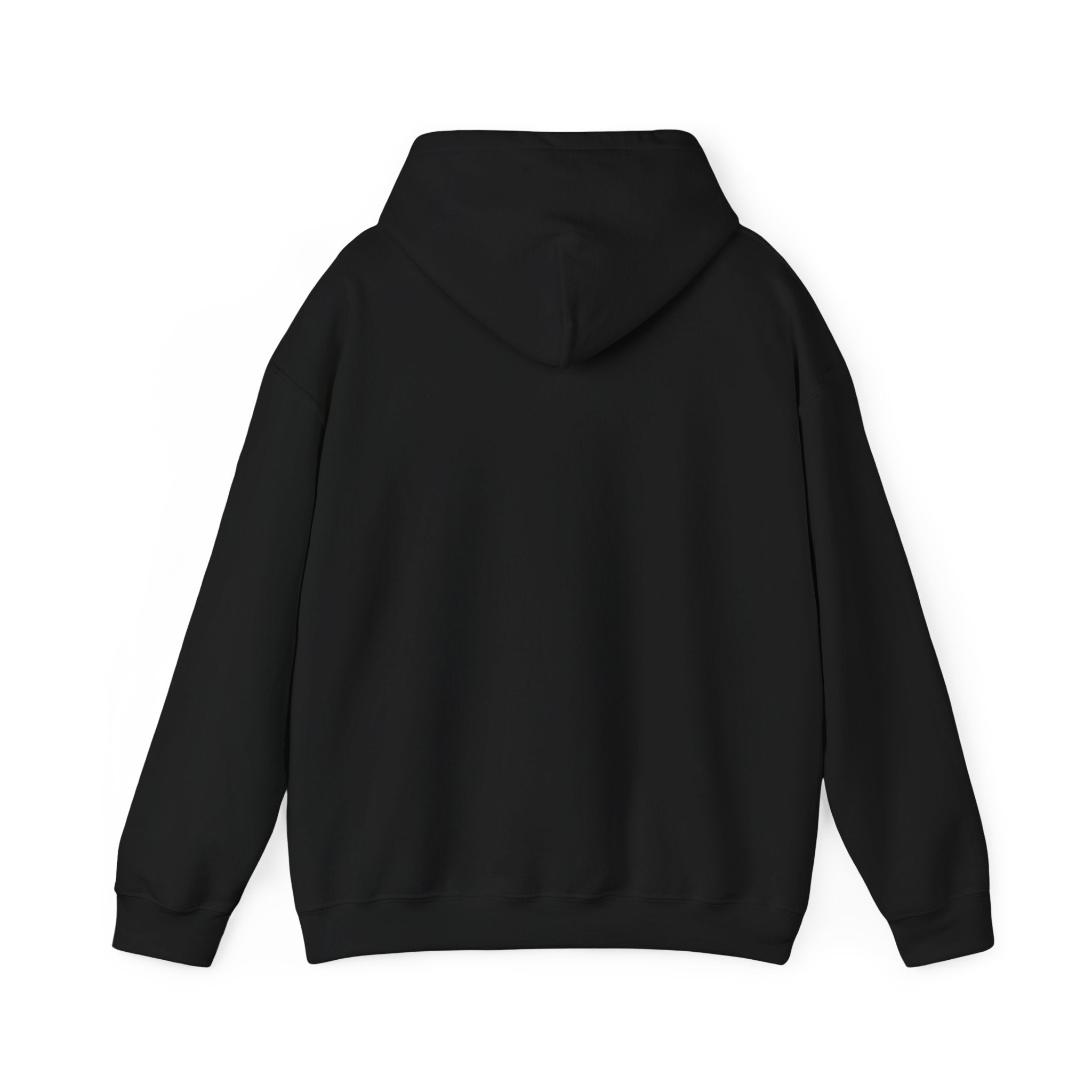 Applied Knowledge Is Power, dark colored hoodie, Unisex Heavy Blend™ Hooded Sweatshirt