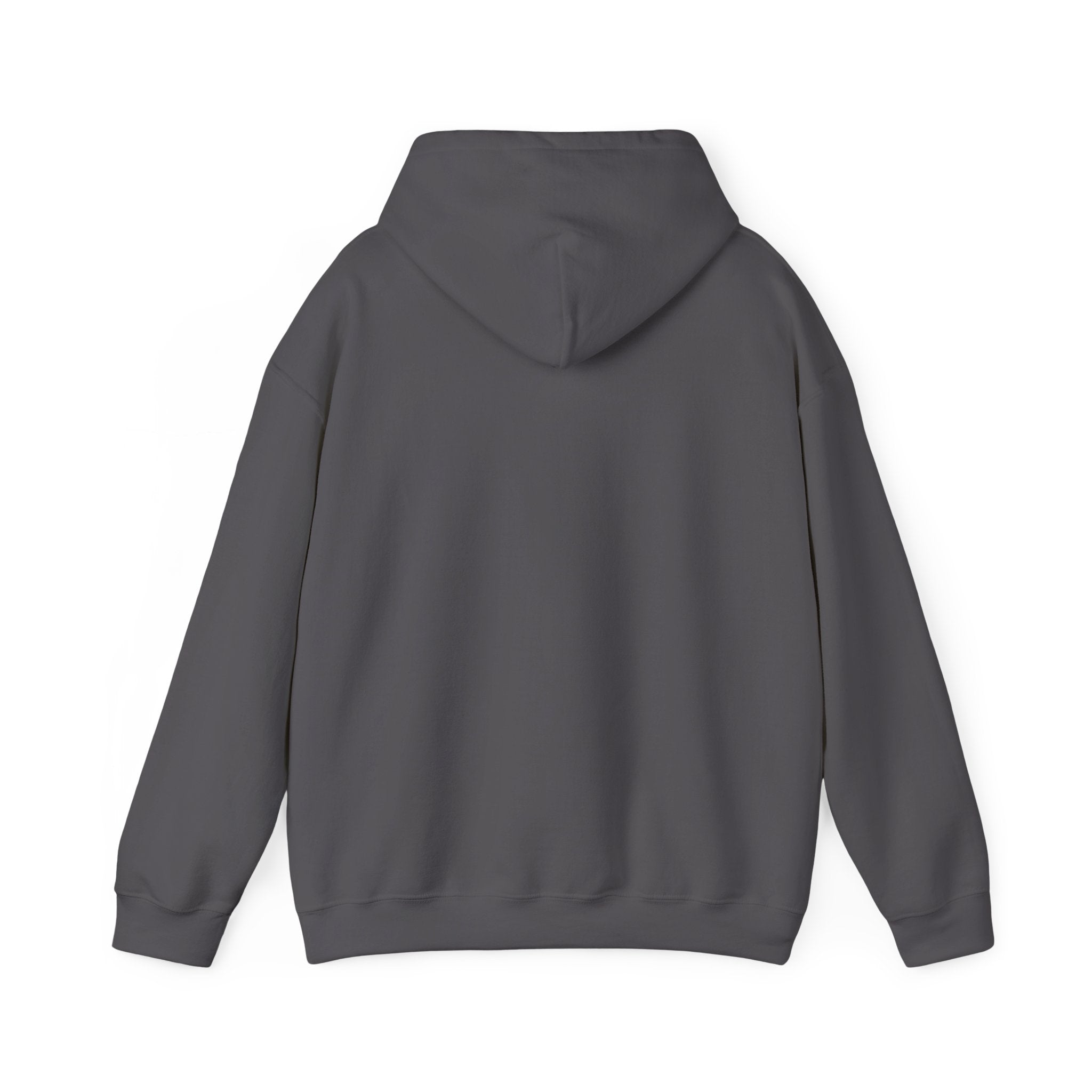 Applied Knowledge Is Power, dark colored hoodie, Unisex Heavy Blend™ Hooded Sweatshirt