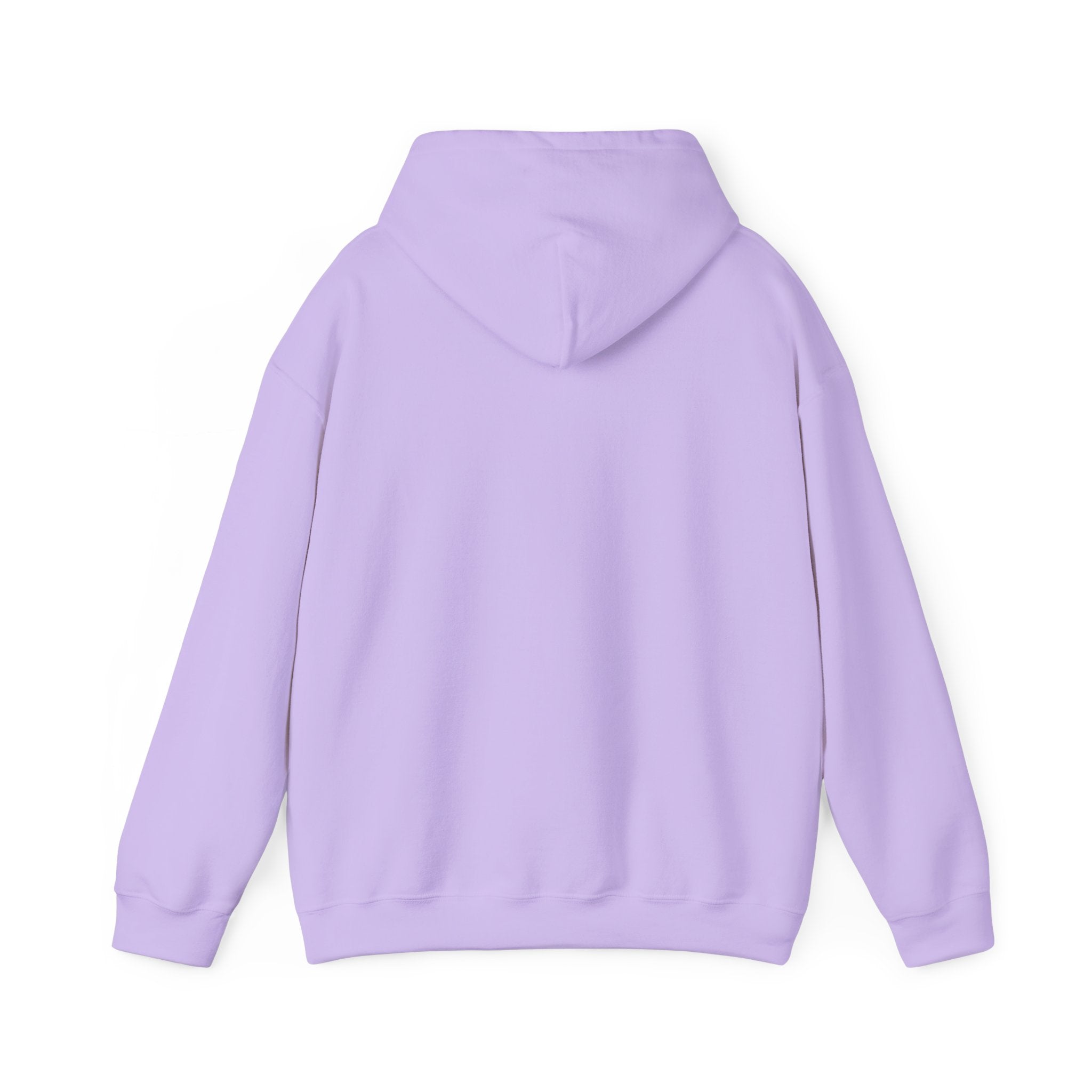 Applied Knowledge Is Power, Unisex Heavy Blend™ Hooded Sweatshirt