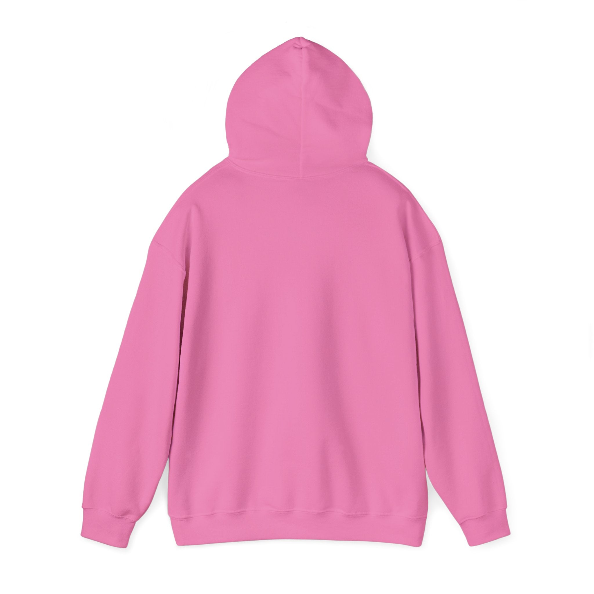 Applied Knowledge Is Power, Unisex Heavy Blend™ Hooded Sweatshirt