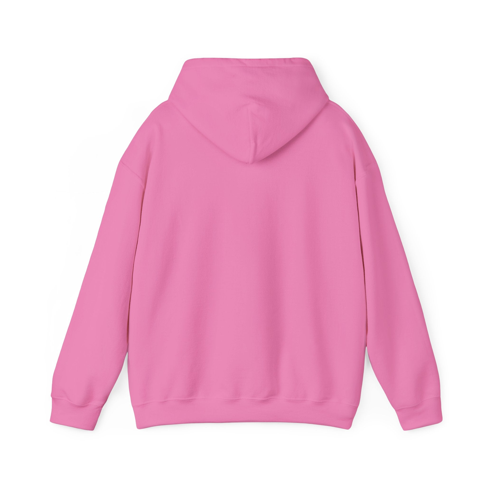 Applied Knowledge Is Power, Unisex Heavy Blend™ Hooded Sweatshirt
