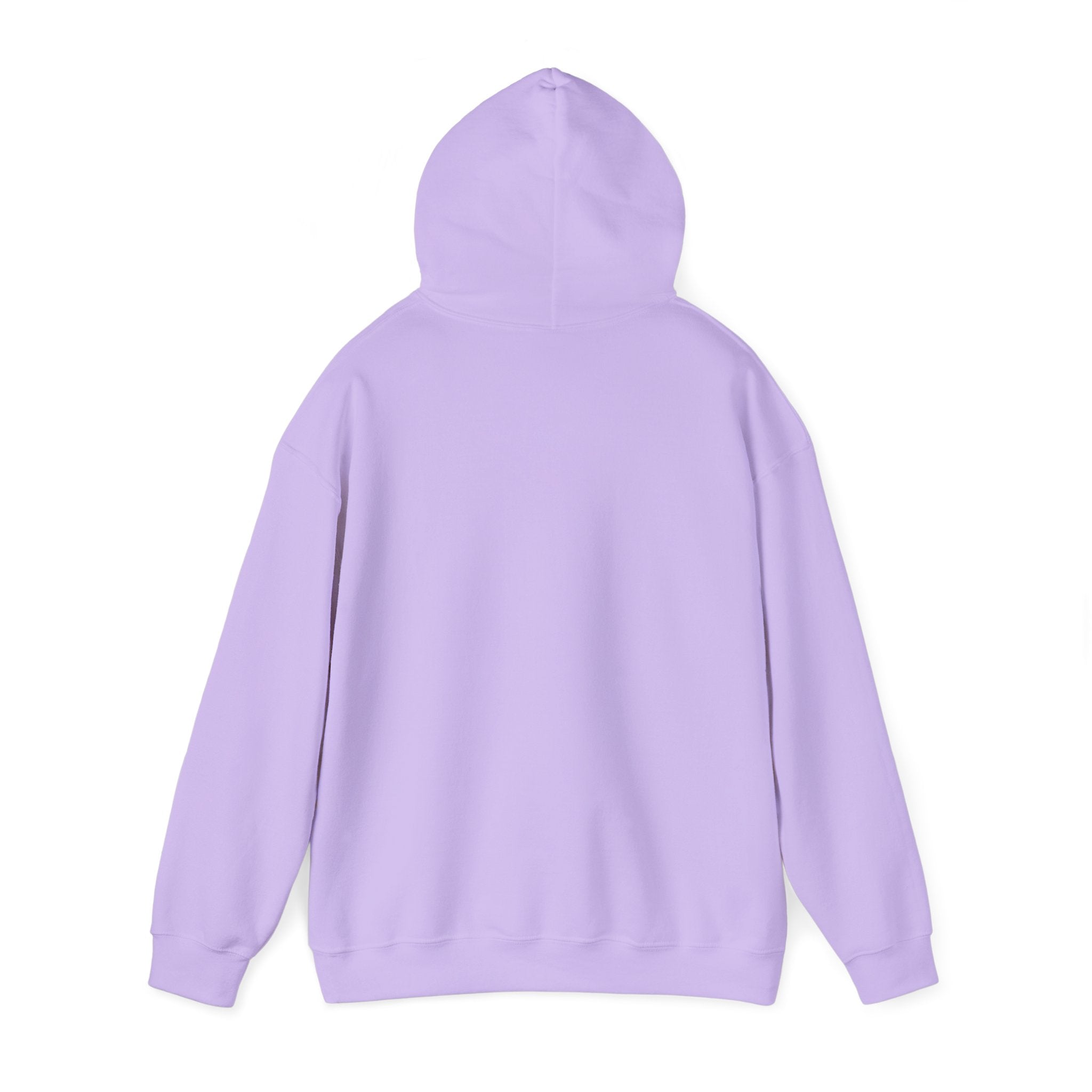 Applied Knowledge Is Power, Unisex Heavy Blend™ Hooded Sweatshirt